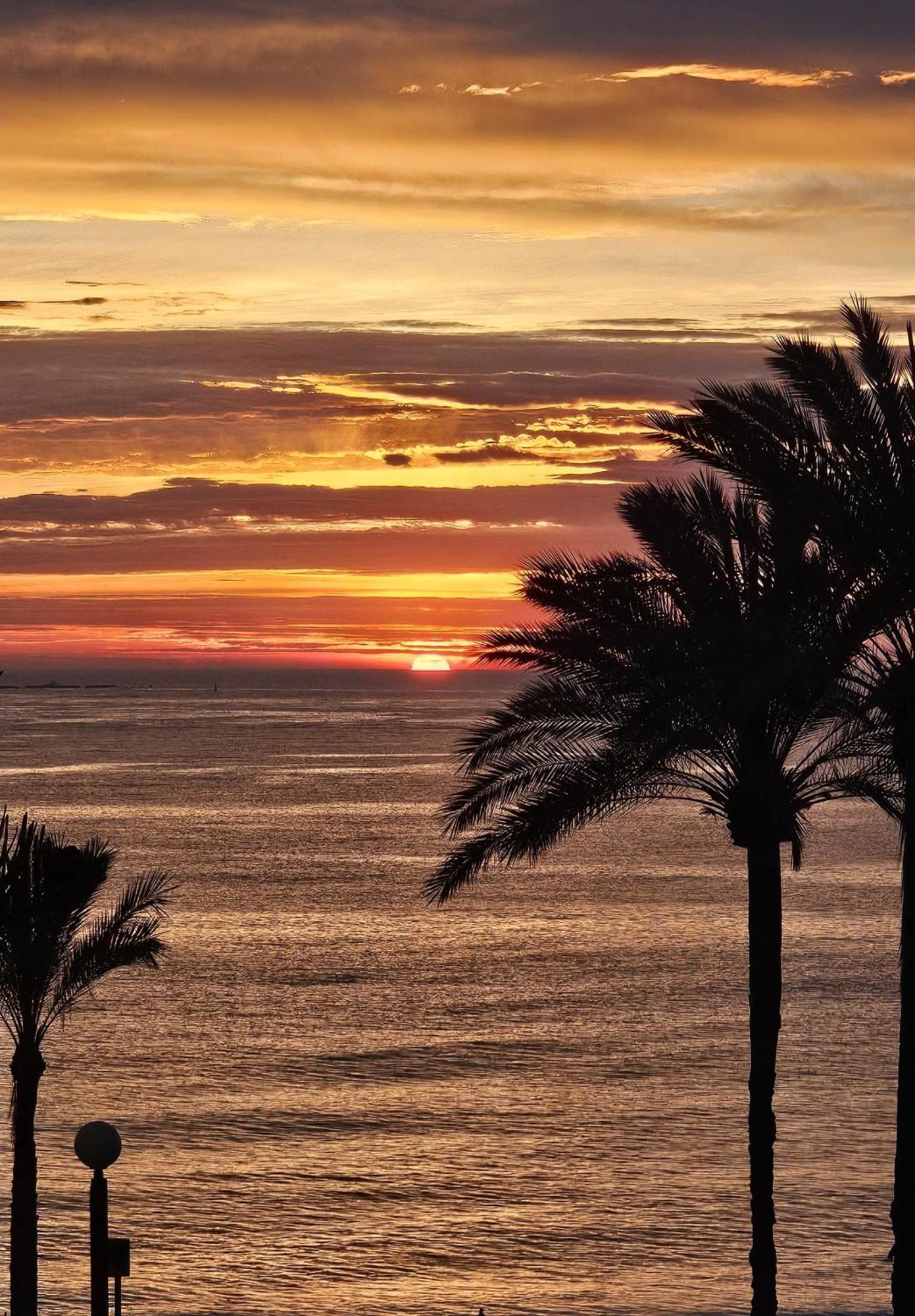 Apartment Blanco El Albir